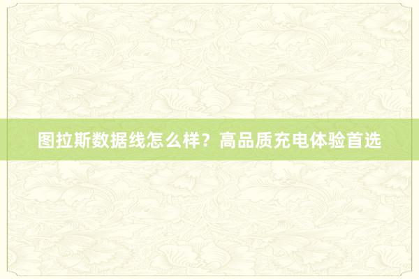 图拉斯数据线怎么样？高品质充电体验首选