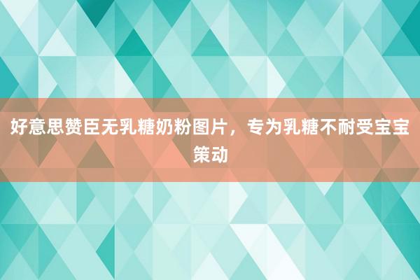 好意思赞臣无乳糖奶粉图片，专为乳糖不耐受宝宝策动