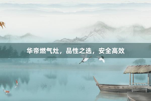 华帝燃气灶，品性之选，安全高效