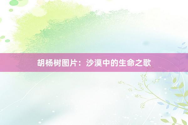 胡杨树图片：沙漠中的生命之歌