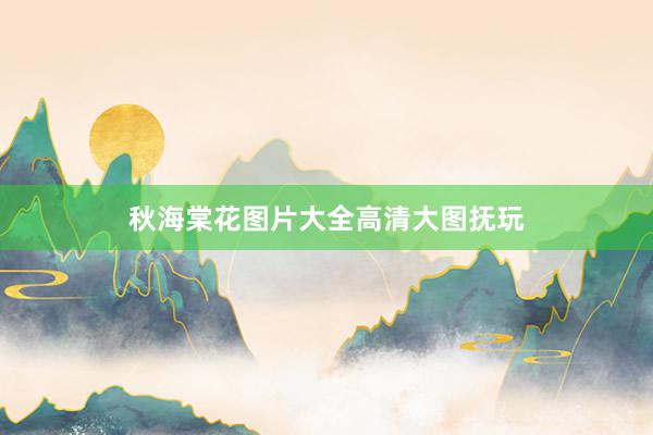 秋海棠花图片大全高清大图抚玩