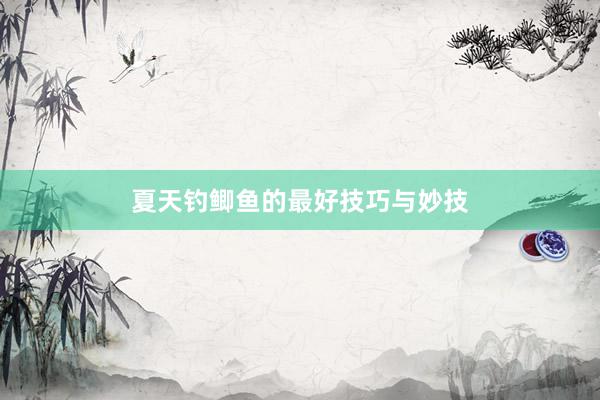 夏天钓鲫鱼的最好技巧与妙技