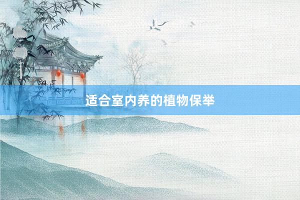 适合室内养的植物保举