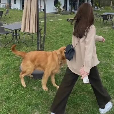 我的愤怒老婆